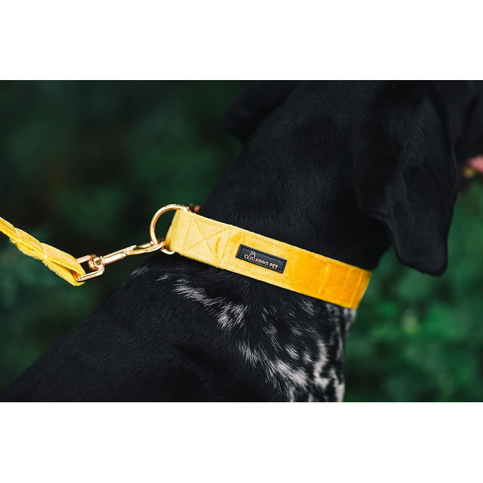 Набір повідка та нашийника для собак Aring Pet, зручний регульований набір для хлопчиків та дівчаток, темно-зелений (XS, темно-жовтий)