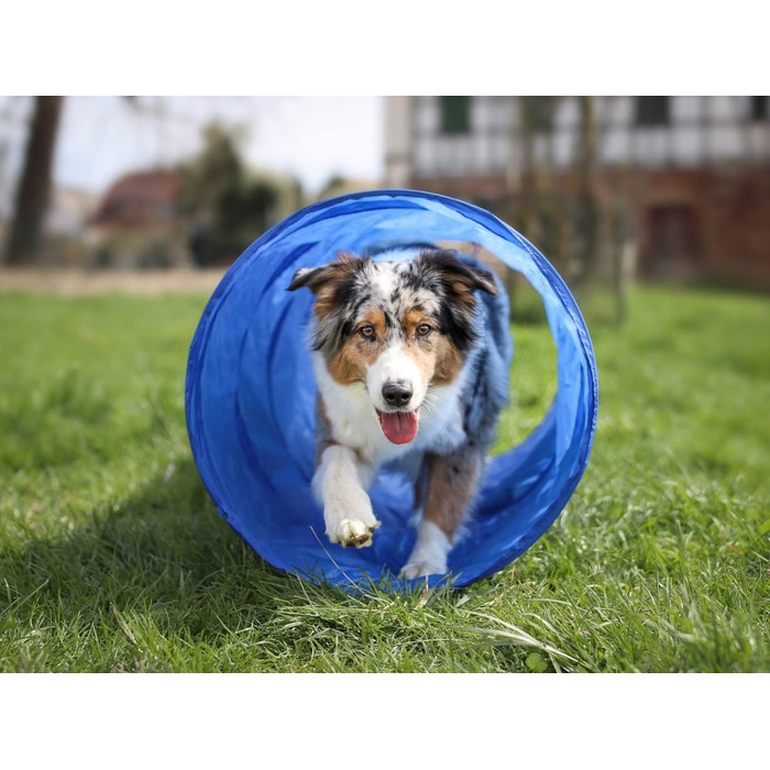 Набір для аджиліті для собак маленьких та середніх порід | Набір для дресирування собак з бар'єрами, тунелем та кільцем для стрибків | Початковий набір для собачого спорту